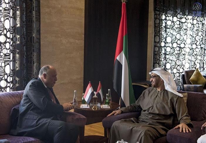 Egypt, UAE Agree to Fight Terrorism, Solve Crisis in Syria and Libya