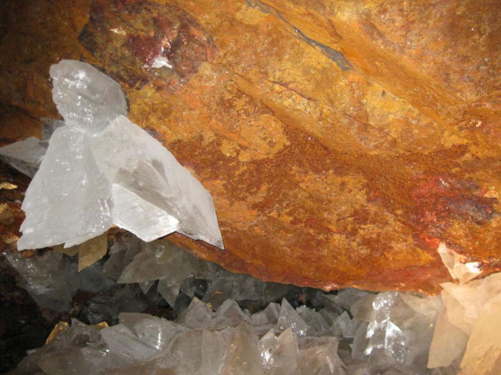 Scientists Find 50,000-Year-Old Microbes in Mexican Mine
