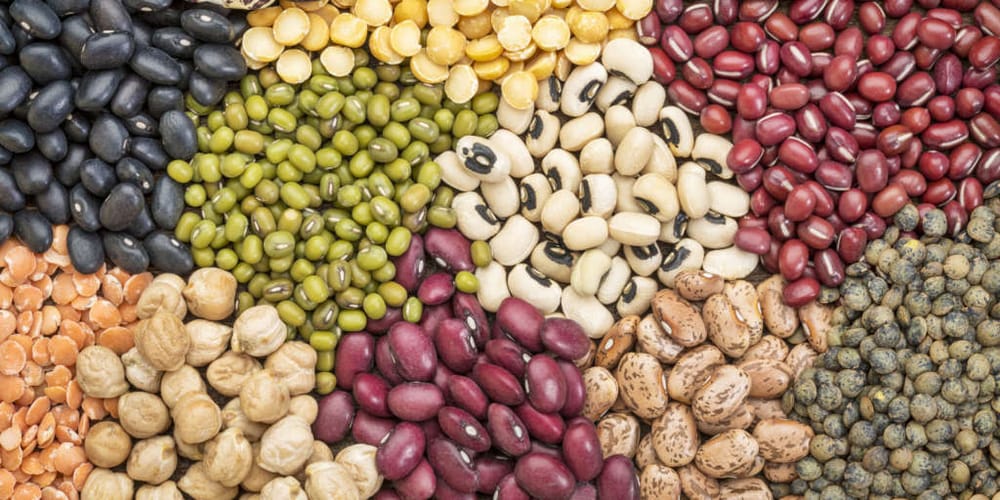Study: Legume Consumption Lowers Risk of Diabetes