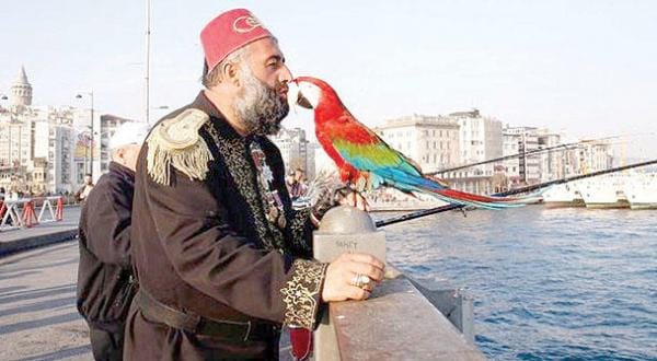 Istanbul’s Pasha and his Parrot: Talk of the Town