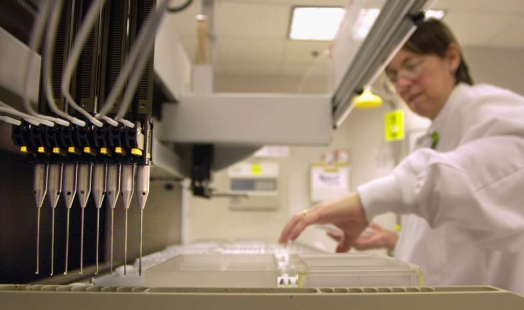 New Study: Hair Samples Reveal Exceptional Information for Investigators