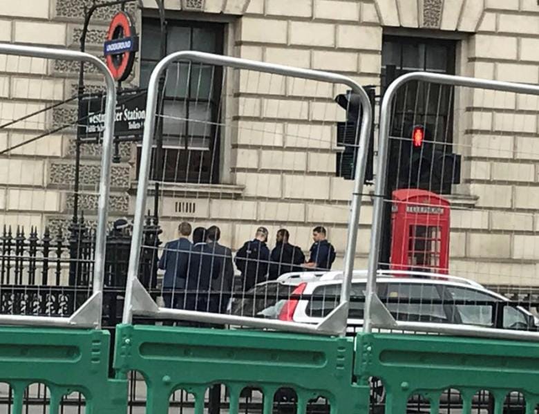UK Police Arrest Bearded Man in Westminster