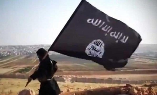 Sinai Tribes Rise against ISIS