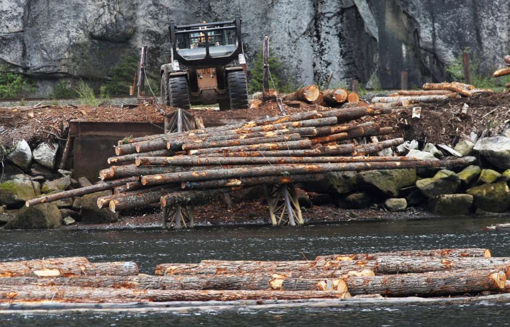 Jimmy Carter: Trump Is Right. Canada’s Lumber Trade Practices Are Unfair.