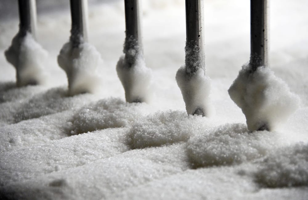 Study: ‘Genetic Brake’ on Sugar Craving