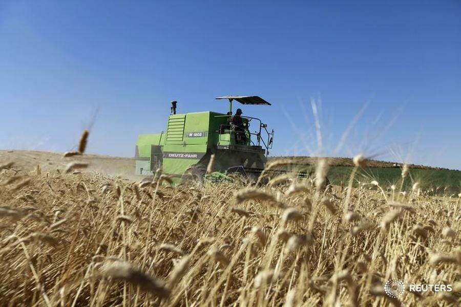 Food Balance Deficit in Tunisia Hits 58%