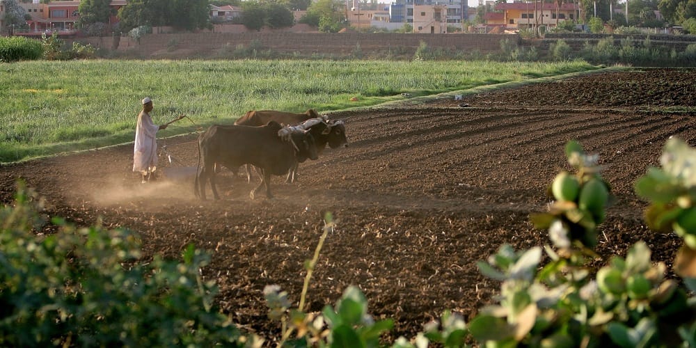 Turkey, Sudan Launch $10 Billion Agriculture Partnership