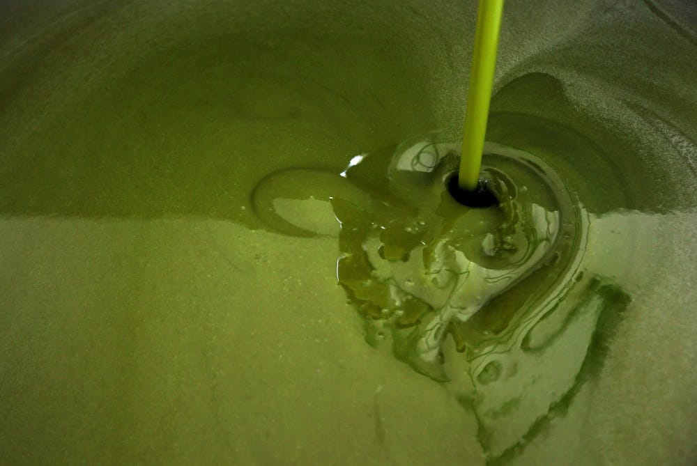Extra-Virgin Olive Oil Preserves Memory, Protects Brain against Alzheimer’s