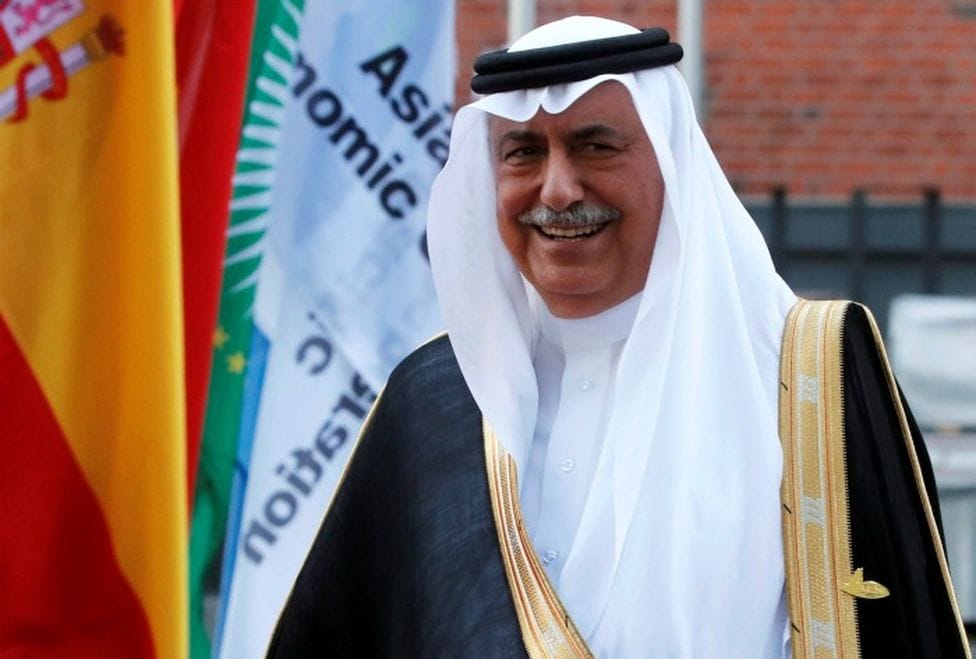 Saudi Arabia Calls for Achieving SDGs at G20 Summit