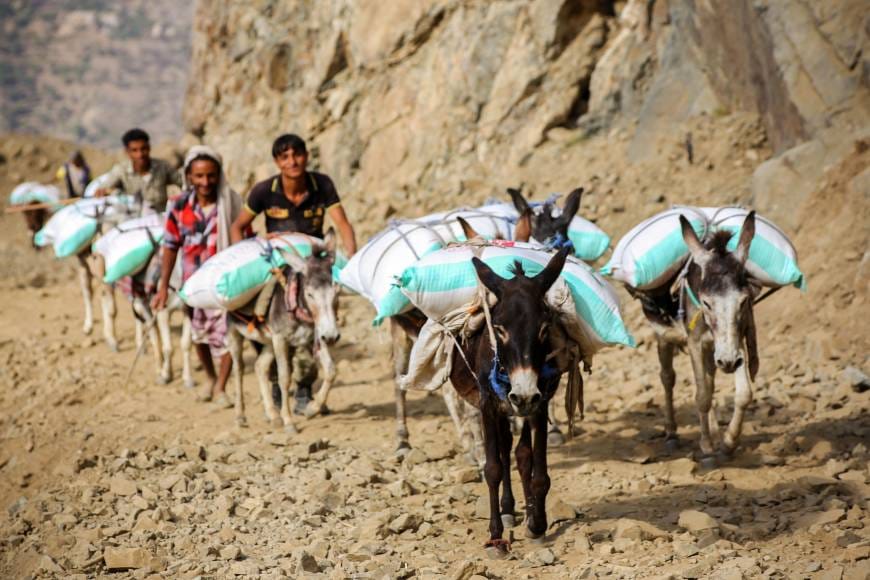 Yemeni Army Advances on Several Fronts in Taiz, Besieges Saadah