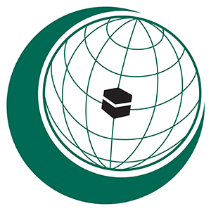 OIC  Co-Organizes London Forum on Islamophobia, Media