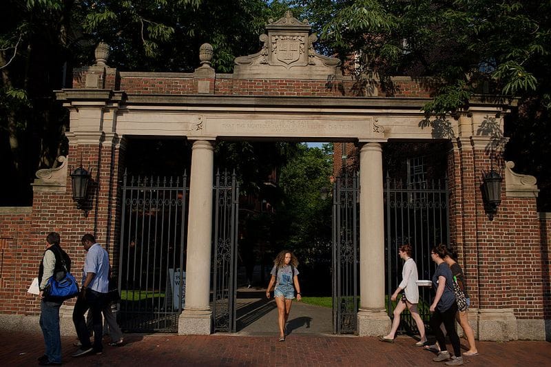 Dismantling the Dictatorship of the Highly Educated