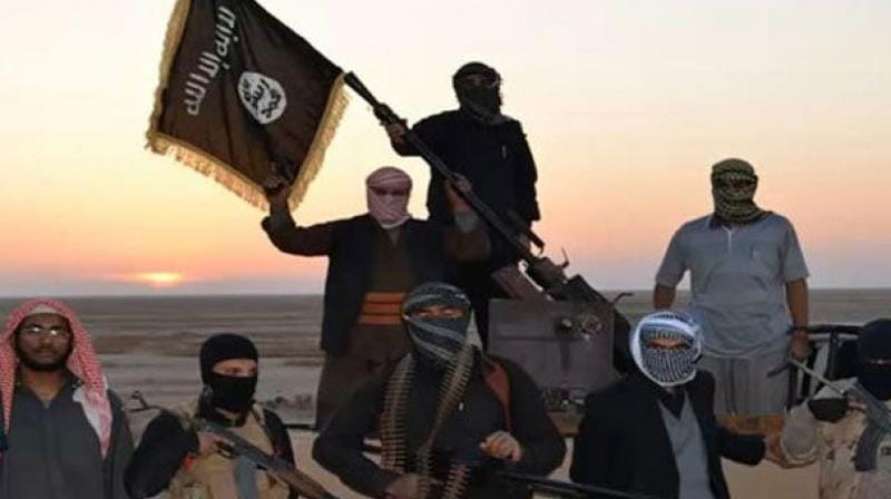 ISIS Members from Iraq, Syria Tell their Stories