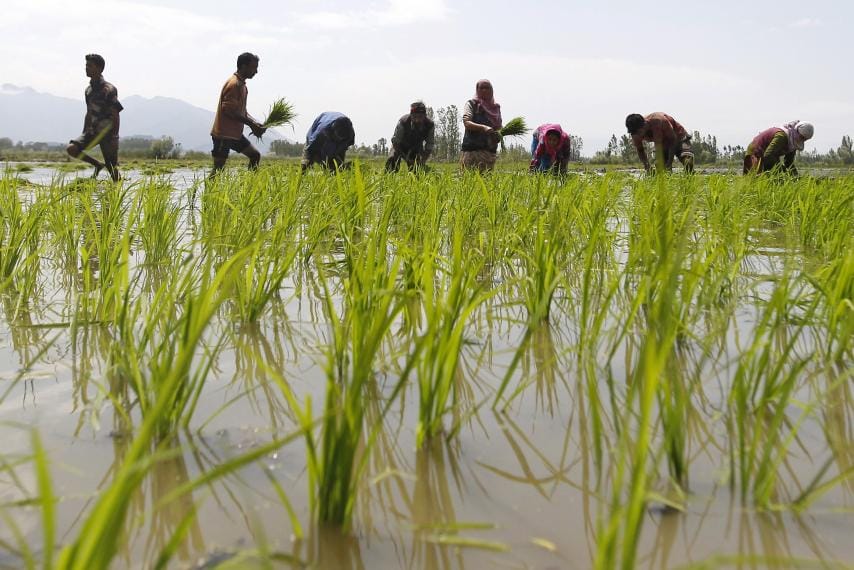 Indian Farmer Sets Himself on Fire over Bribe Demand