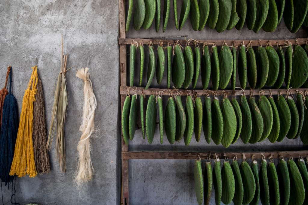 In Mexico, Weavers Embrace Natural Alternatives to Toxic Dyes