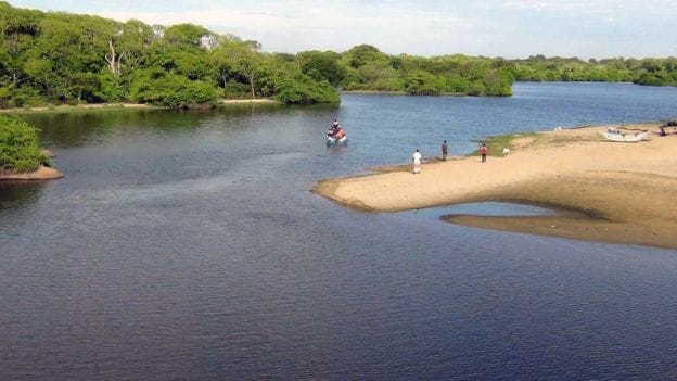 British Man Dies in Sri Lanka Crocodile Attack