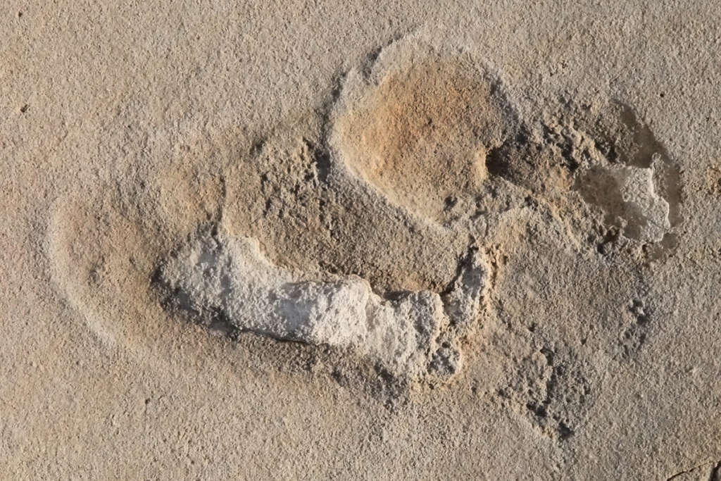 Ancient Footprints in Greece Challenges Theory of Human Evolution