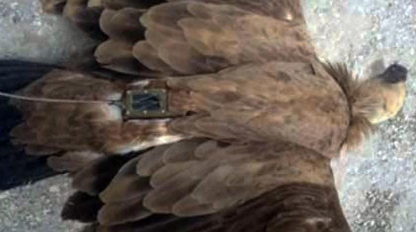 Israel Recuperates ‘Spy Eagle’ from Syria