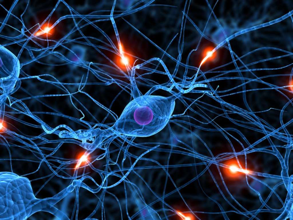Stem Cells Fight Parkinson’s Disease in Monkeys