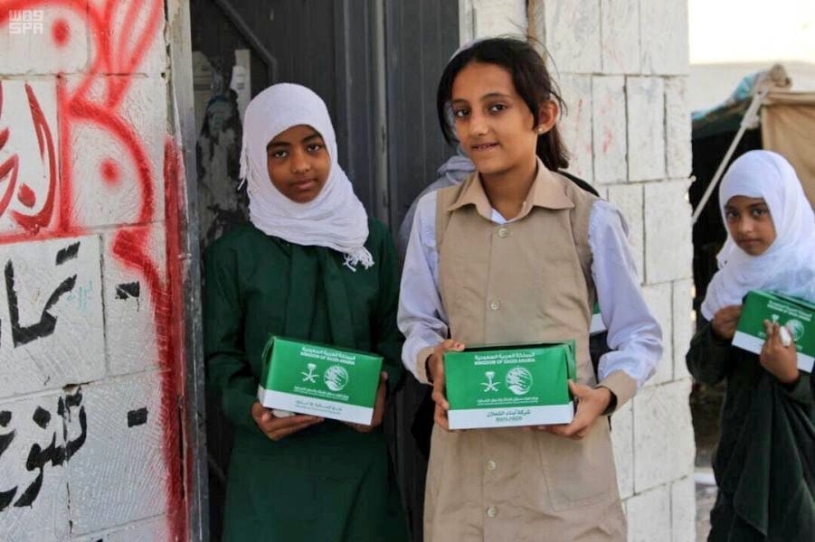 Arab League: UN Report on Yemen Lacks Accuracy
