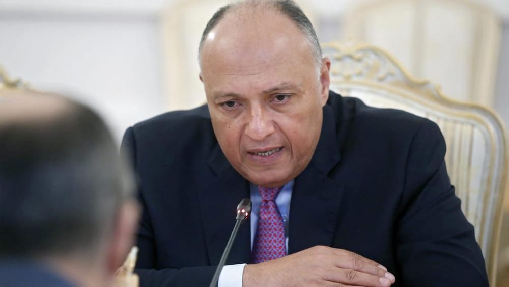 Shoukry Stresses Need for Comprehensive Solution to Save Yemen
