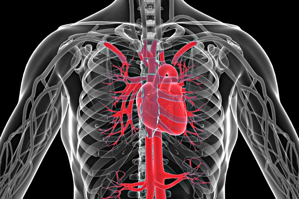 Danish Study Finds Link between Skin Infections, Heart Attacks