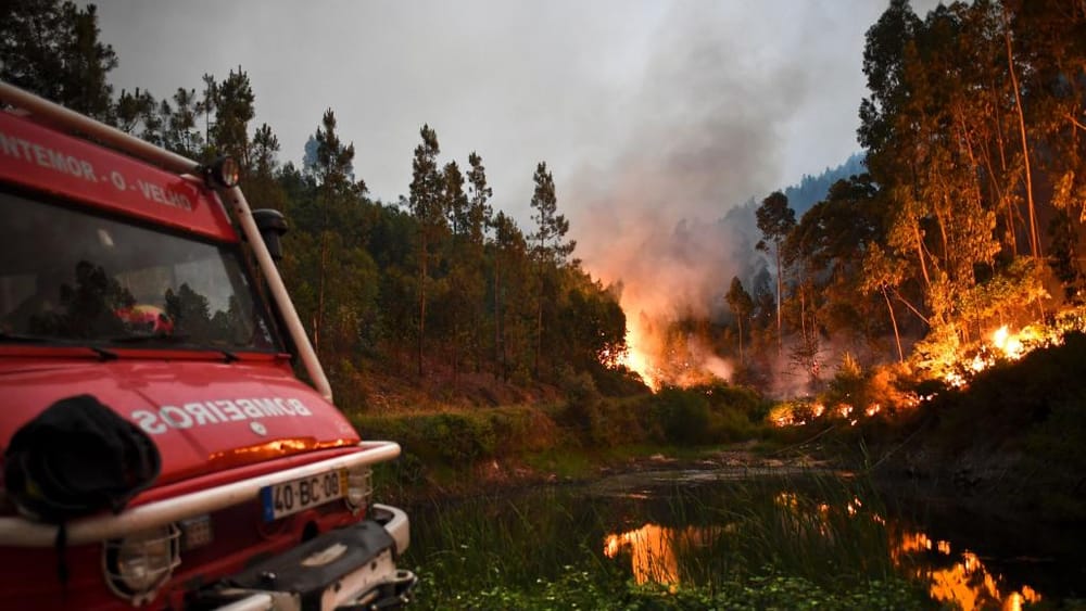 30 Killed as Fires Rage in Portugal and Spain