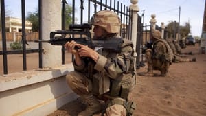 We Want to Give Terrorism a “Knockout” Blow-French Official