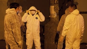 China Culls Birds As Bird Flu Deaths Mount