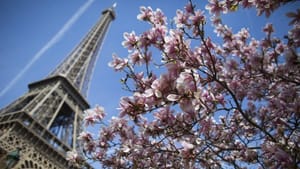 Economic Agreements on Agenda of Saudi-French Business Council in Paris