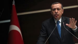 Turkey to await ruling on park as Erdoğan meets protesters
