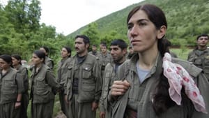 The Turkish Model