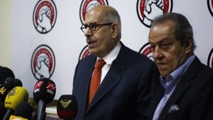 Egypt: Salafists block Baradei appointment as PM