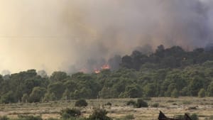 Tunisian military aircraft target militants near Algerian border