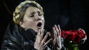 Ukraine: Parliament chief takes presidential power