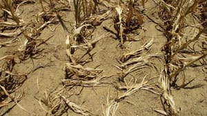 UN warns global warming changes “irreversible”
