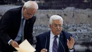 Palestine negotiator: Door to talks with Israel open