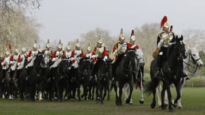 Opinion: No Cavalry to the Rescue