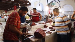 Tunisia slashes budget by $319 mn in bid to trim deficit