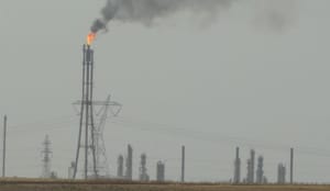 Opinion: Oil and Politics