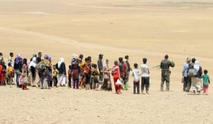 Seven Days of Hell in Sinjar