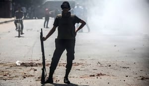 Muslim Brotherhood incapable of organzing large-scale protests: official