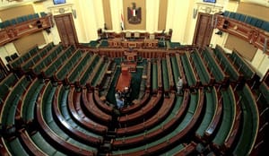 Sisi’s call for national election coalition “impossible”: party leader