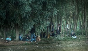Opinion: Migration to and from Europe