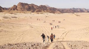 The King Salman Bridge and the Waad Al-Shimal and Tadeen Projects Will Kick-start Development in Sinai