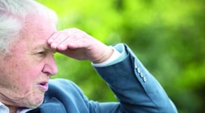 Britain Celebrates the Eminent Attenborough’s 90TH