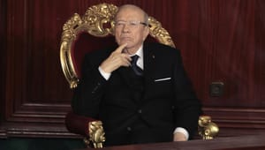 Ennahda, Nidaa Tounes, Agree on Government of Parliamentary Majority