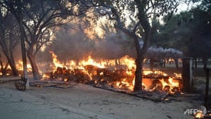 Gunfire Erupts as Police Clash with Squatters in Indian Park, 22 Killed