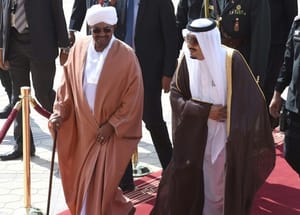 Sudan Passes Law for Saudi Arabia to Cultivate 100 Million Feddans