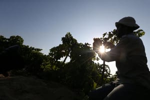 Opinion: The President and Photographer Ibrahim Abboud